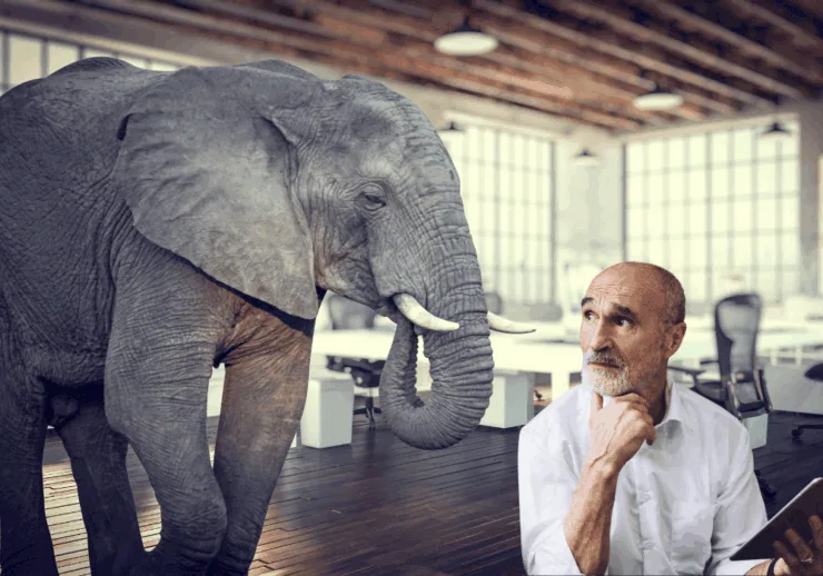 Elephant in the room